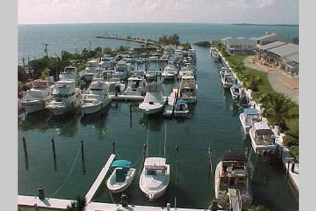 Licensed Mgr - 2/2 Villa - Oceanfront Beach Resort - Saltwater Lagoon & Marina! Key Largo Bagian luar foto